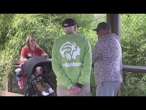 Eighty-four-year-old man volunteers every week at Zoo Knoxville