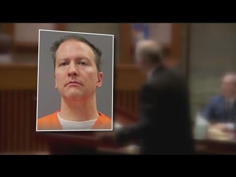 Minnesota court hears Derek Chauvin's appeal for murder of George Floyd