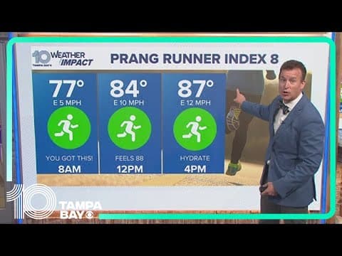 10 Tampa Bay Forecast: Sunday, November 3, 2024