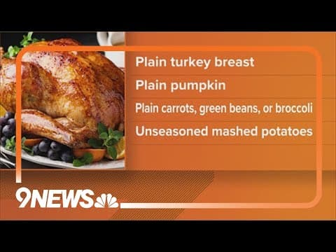 Pet safety tips for Thanksgiving
