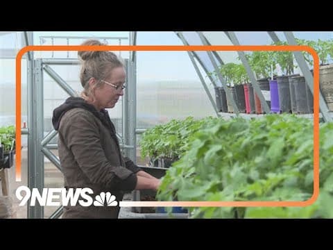 Colorado farmer worried about feeding her community amid federal funding cuts