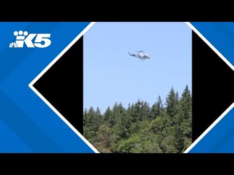 Flying boats make for a rare sight on Puget Sound