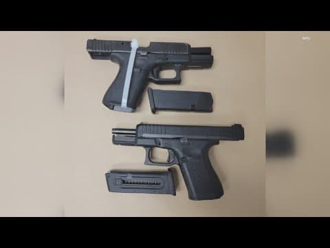 Task Force seizes illegal guns, drugs
