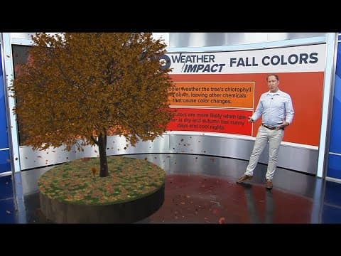 Fall Colors Explained: Why the leaves change, when to expect the peak in Ohio