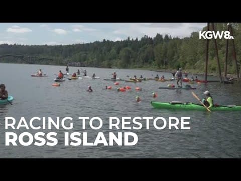 Volunteers race to restore Portland's Ross Island