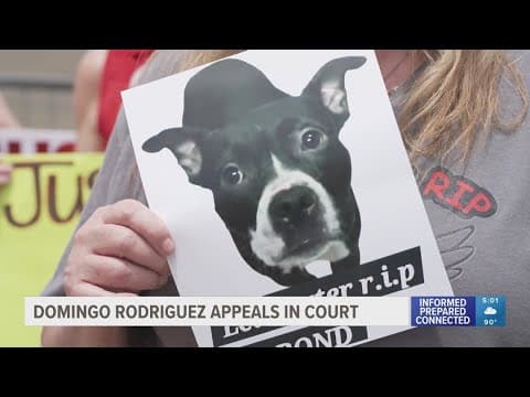 St. Pete man found guilty of adopting and killing dog asks for bond