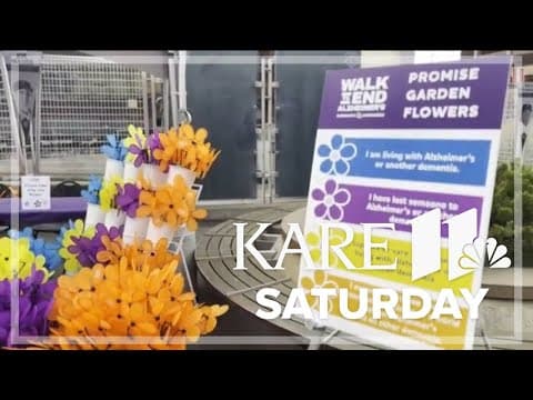 Thousands attend Walk to End Alzheimer's, Twin Cities on Saturday