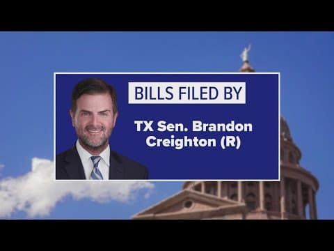 Texas lawmakers move to ban DEI in K-12 schools