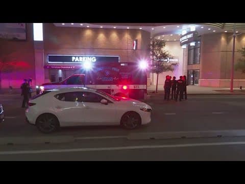 Argument between strangers leads to deadly shooting in downtown Houston, police say