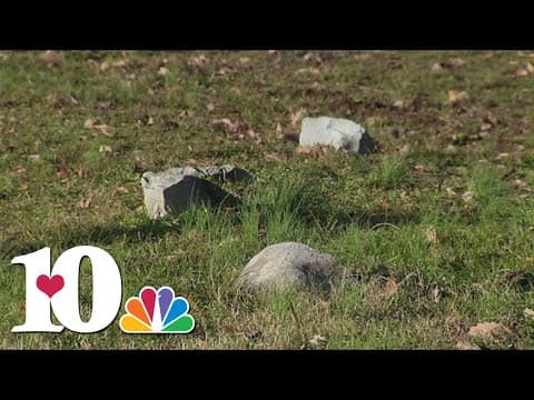 Graves of 28 enslaved people found on Andrew Jackson's Middle Tennessee property