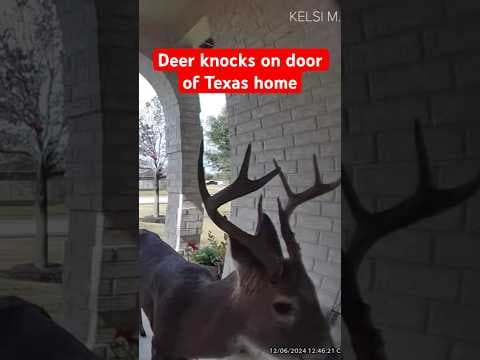 Hello? Have you been good this year?