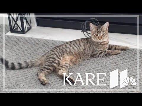 Your Good News: Betty Nemeth, Phyllis Lentsh, Tonya Larson