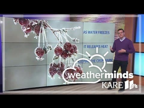 WeatherMinds | How snow, ice helps citrus crops