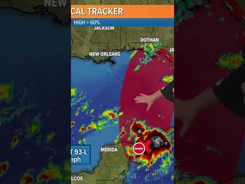 Aug. 26 Tropical Update: Invest 93L likely to develop in Gulf of Mexico #weather #tropicalupdate