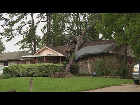 Hurricane Beryl: The damage left behind