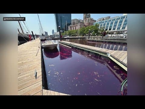 Cleanup effort still underway after massive diesel spill in Baltimore