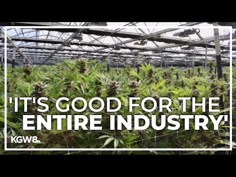 Oregon cannabis industry leaders react to Biden's marijuana convictions pardons