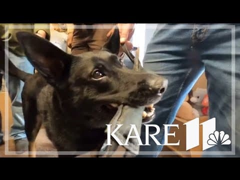 Hennepin County K9 Zoro gets a retirement sendoff