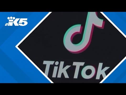 TikTok seeks to block app ban in U.S.