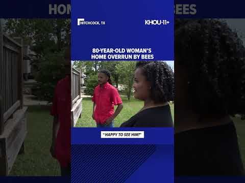 Beekeeper helps 80-year-old Hitchcock woman reclaim her home from a massive bee colony