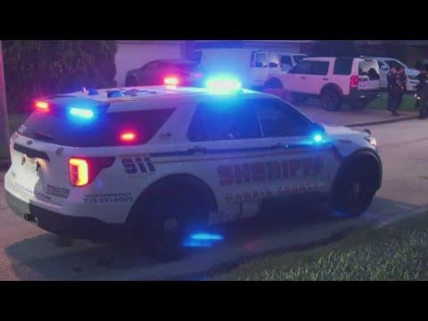 Katy-area woman dies after hammer attack; son confessed on gaming app, HCSO said