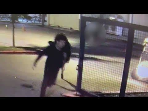 Worker at Houston Farmers Market shot to death by two men trying to steal golf cart, police say