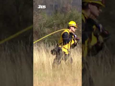 Crews battle brush fire near town of Rainier