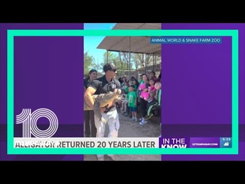 Texas woman raised 20-year-old alligator from stolen egg