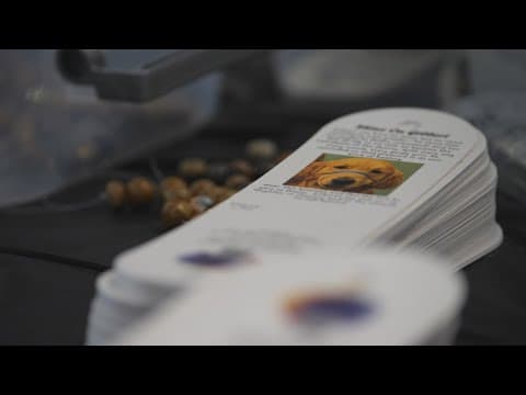 Volunteers unite at Mess Hall Arts to honor Hortman family