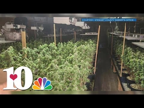 Authorities shut down largest marijuana development in Stewart County history