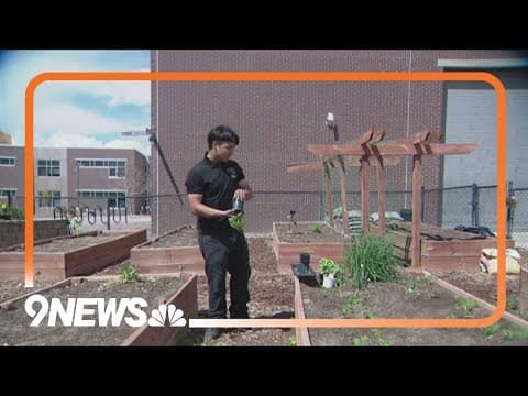 Denver senior creates community gardens and chicken coop at his school