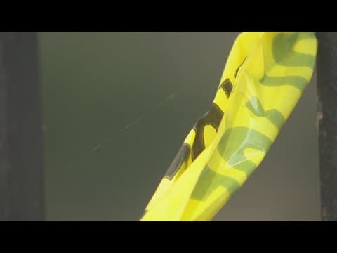 Police offer reward in shooting death of 3-year-old girl