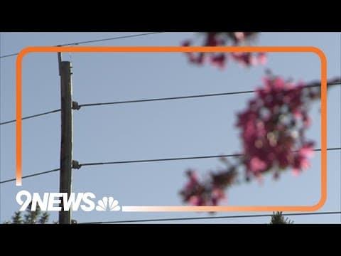 PUC holding meeting Wednesday to discuss Xcel power outages