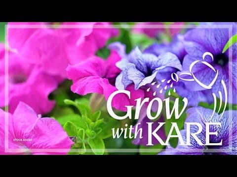 Grow with KARE: Summer annuals that can take a fall frost