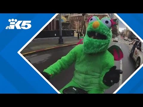 'Fluffy the Dragon' injured in hit-and-run crash