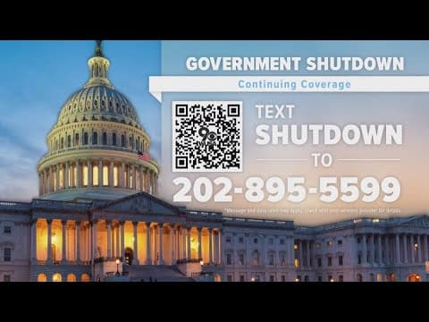 Why Democrats have leverage in shutdown negotiations even though they're in the minority