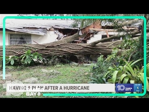 Storm damage? An expert explains what to do next