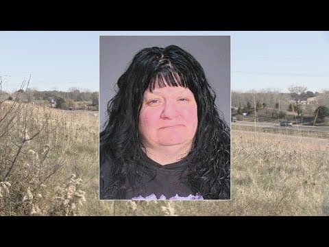 Woman who killed former mayor on highway will serve 244 days in jail