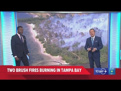 Brush fires are burning in the Tampa Bay area
