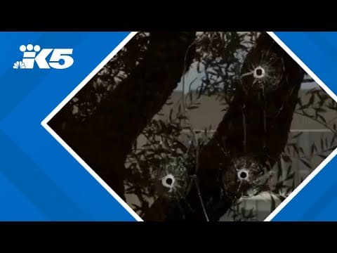 ABC affiliate in Sacramento struck by gunfire