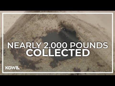 State, federal agencies finish cleaning up tar balls along Oregon, Washington coast