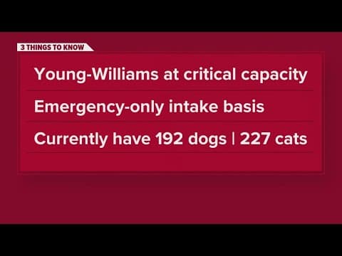 Young-Williams Animal Center is at critical capacity