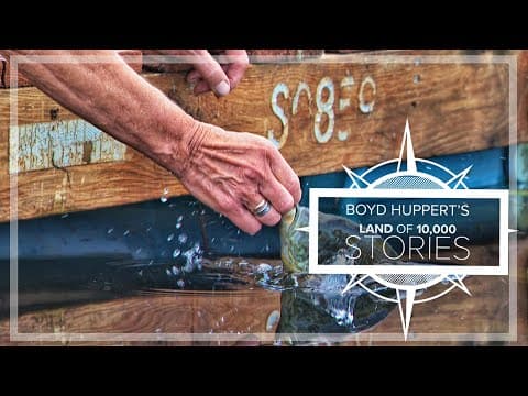 YouTube thumbnail for video 335KoZOoOyE