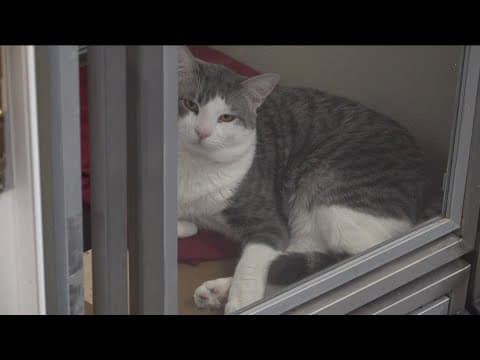 Summer programs offered throughout San Diego for kids