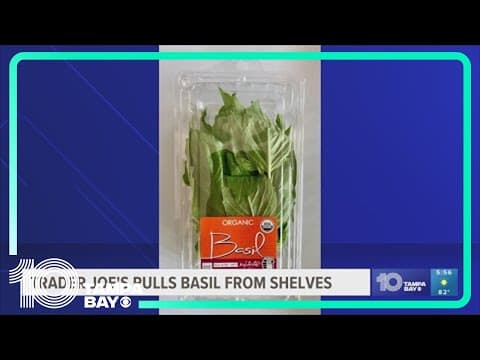 12 people sickened over possible Salmonella contaminated basil sold at Trader Joe's