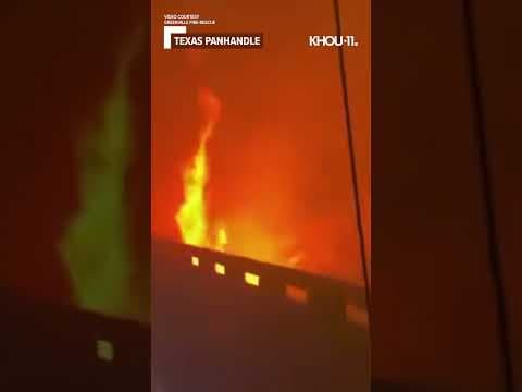 Massive wildfires in the Texas Panhandle prompted an emergency declaration for 60 counties