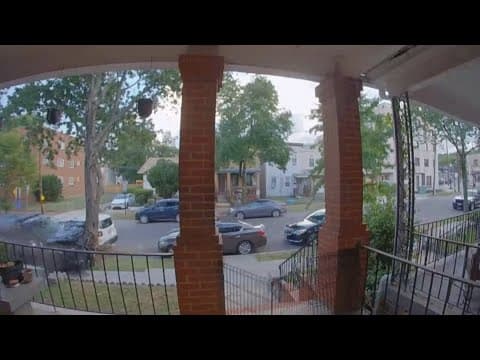 Doorbell video shows police cruiser slam into tree during pursuit