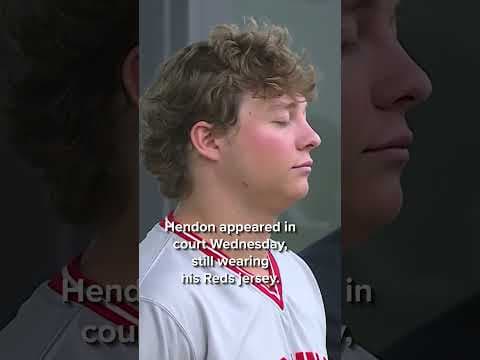 Cincinnati Reds fan Tased after running onto field