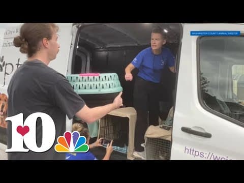 Animal shelter still in need 1 year after Hurricane Helene