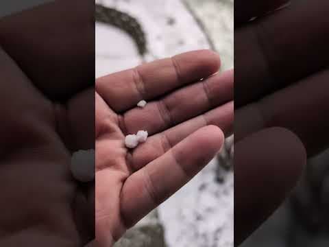 Hail falls in Everett as winter weather system moves through western Washington #shorts #weather
